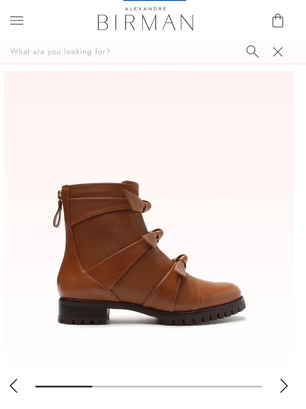 Alexandre Birman Brown Women's Ankle Boots with Buckle Straps